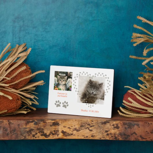 Plaque Photo Angel Cute Soft Kitten (Côté)