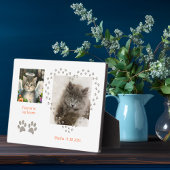 Plaque Photo Angel Cute Soft Kitten