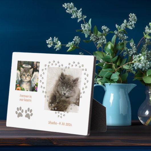 Plaque Photo Angel Cute Soft Kitten