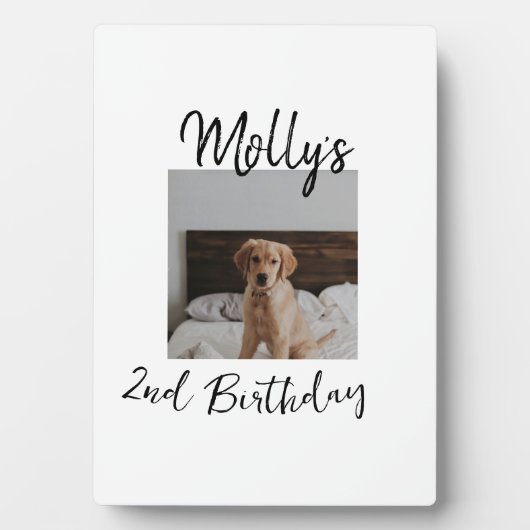 Plaque Photo Animateur chien chat animal photo moderne simple (Devant)