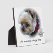 Plaque Photo Animaux (Recto)