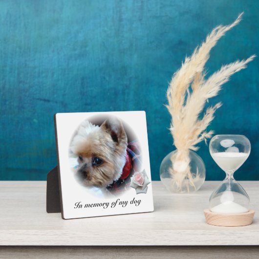 Plaque Photo Animaux de compagnie (Insitu)