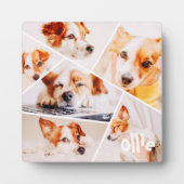 Plaque Photo Animaux de compagnie Moderne Simple Personnalisé 6 (Devant)