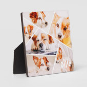 Plaque Photo Animaux de compagnie Moderne Simple Personnalisé 6 (Recto)