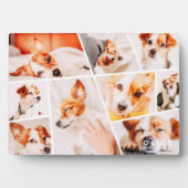 Plaque Photo Animaux de compagnie Moderne Simple Personnalisé 9 (Devant)