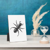 Plaque Photo Ant (Côté)