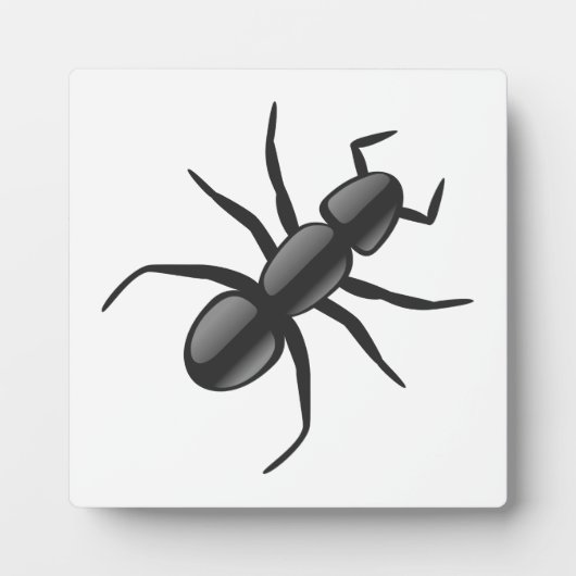 Plaque Photo Ant (Devant)