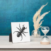 Plaque Photo Ant (Insitu)