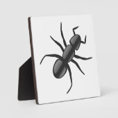 Plaque Photo Ant (Recto)