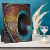 Plaque Photo Antique Hues Peacock Feather Eye (Côté)