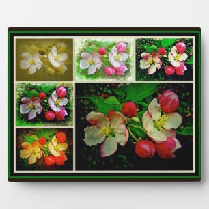 Plaque Photo Apple Blossom Collage - Photo numérique améliorée