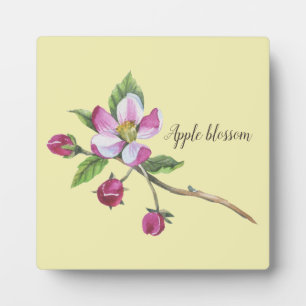 Plaque Photo Aquarelle Apple Blossom Botanique