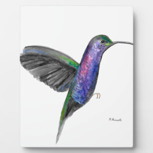 Plaque Photo Aquarelle de colibri pourpre