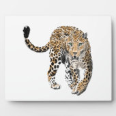 Plaque Photo aquarelle léopard jungle chat peint vert animal (Devant)