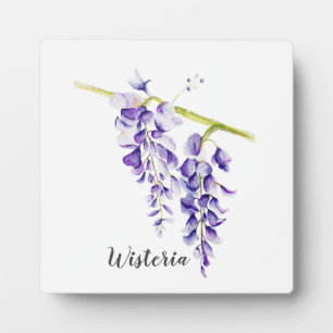 Plaque Photo Aquarelle Wisteria Botanique