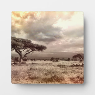 Plaque Photo Arbre Art Décor Afrique Destinée africaine Destin