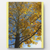 Plaque Photo Arbre d'automne jaune (Devant)