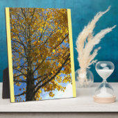 Plaque Photo Arbre d'automne jaune (Côté)