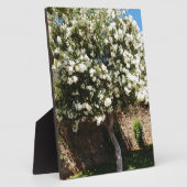 Plaque Photo Arbre De Jasmin En Fleur (Côté)