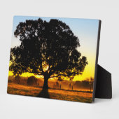 Plaque Photo Arbre du matin (Côté)