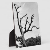 Plaque Photo arbre libre (Côté)