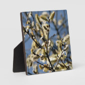 PLAQUE PHOTO ARBRE SAUVAGE (Recto)