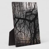 PLAQUE PHOTO ARBRE SAUVAGE D'HIVER (Côté)