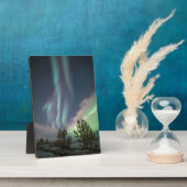 Plaque Photo Arbres aurifères du Nord (Côté)