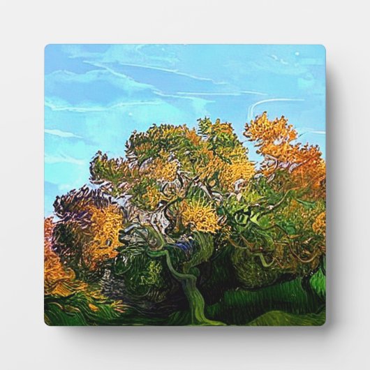 PLAQUE PHOTO ARBRES D'AUTOMNE (Devant)