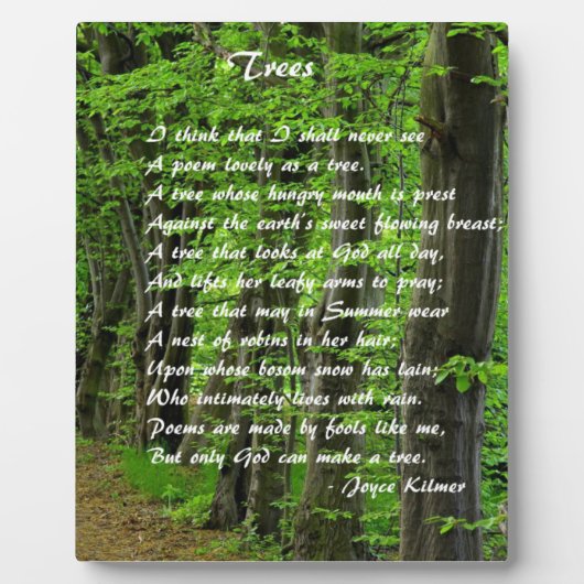 Plaque Photo Arbres par : Joyce Klimer (Devant)