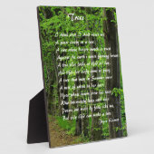 Plaque Photo Arbres par : Joyce Klimer (Côté)