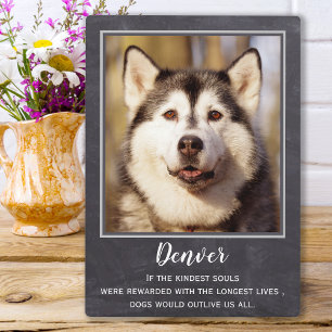 Plaque Photo Ardoise souvenir pour amateur de chiens Mémorial p