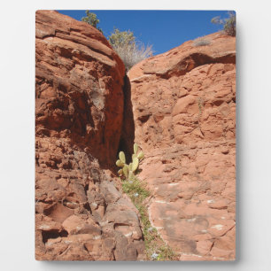 Plaque Photo Arizona Red Rocks Paysage Photo