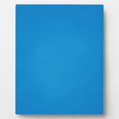 Plaque Photo Arrière - plan bleu clair Grainy (Devant)