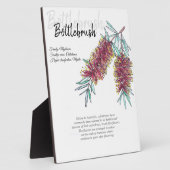 Plaque Photo Art botanique autochtone australien (Côté)