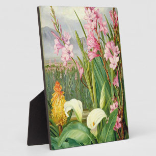 Plaque Photo Art botanique : Beautés du marais