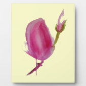 Plaque Photo Art de fleur d'aquarelle de magnolia rose (Devant)