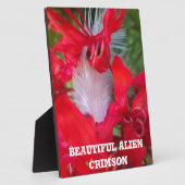 Plaque Photo Art Pétale Rouge (Côté)