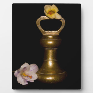 Plaque Photo Attraction florale