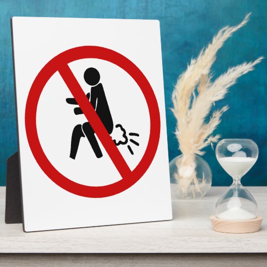 Plaque Photo AUCUN ⚠ Drôle Toilette Thaïlandaise ⚠ (Côté)