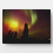 Plaque Photo Aurora boréale et arbres (Devant)