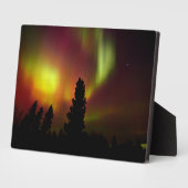 Plaque Photo Aurora boréale et arbres (Côté)