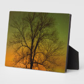 Plaque Photo Aurora Borealis & Cottonwood Tree (Côté)