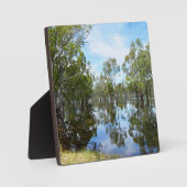 Plaque Photo Australie The River Murray, (Recto)