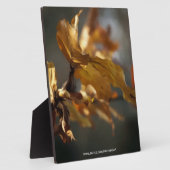 Plaque Photo Automne (Côté)