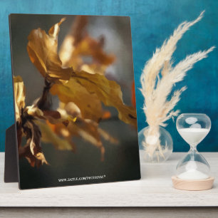 Plaque Photo Automne