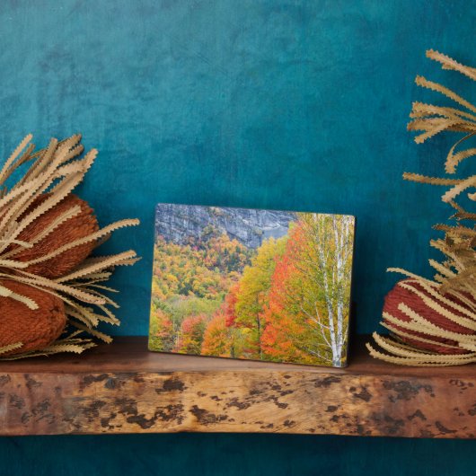 Plaque Photo Automne à Grafton Notch State Park, Maine (Côté)
