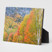 Plaque Photo Automne à Grafton Notch State Park, Maine (Côté)