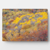 Plaque Photo Automne dans le Michigan (Devant)