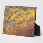 Plaque Photo Automne dans le Michigan (Côté)